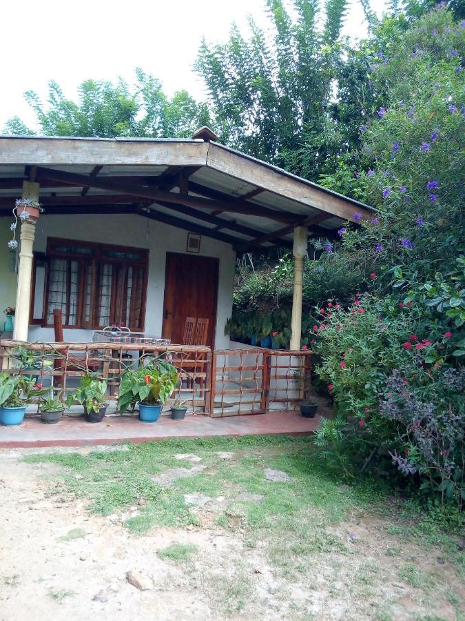 Ella J Villa Esterno foto