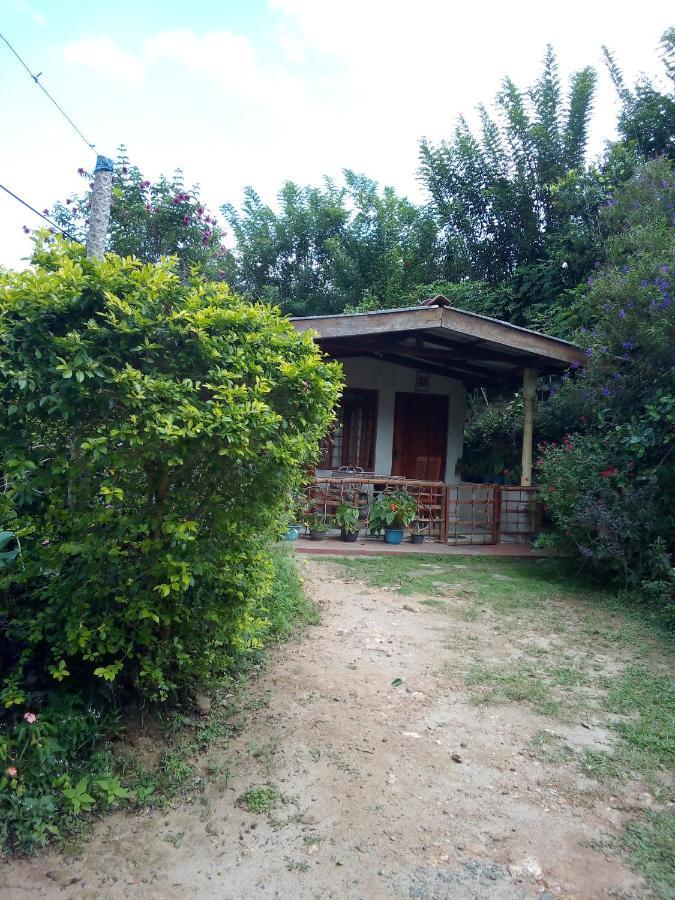 Ella J Villa Esterno foto